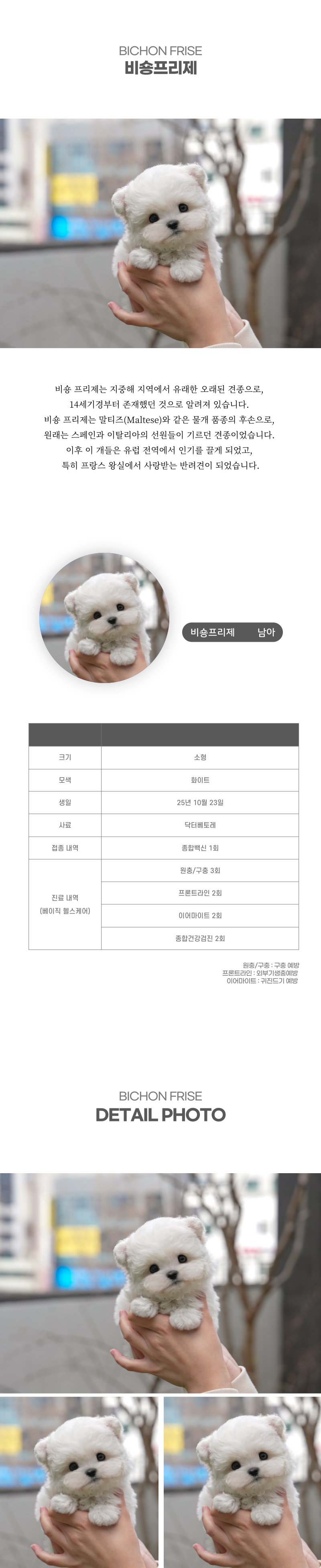 미니비숑_상세이미지_2